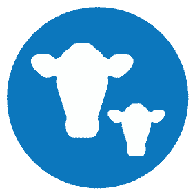 Fertility