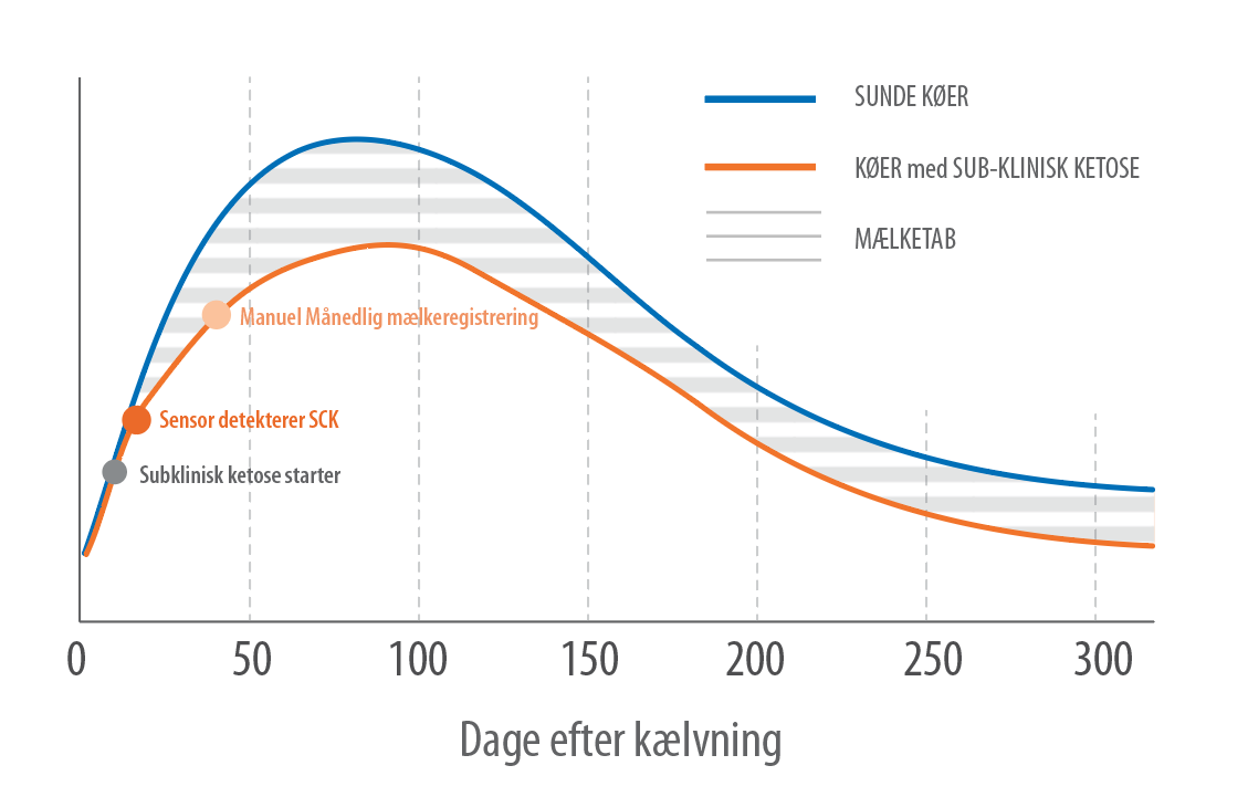 Graph Subclinical Ketosis