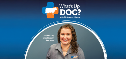 What's Up Doc: Automation on the Dairy: Small Changes, Big Returns