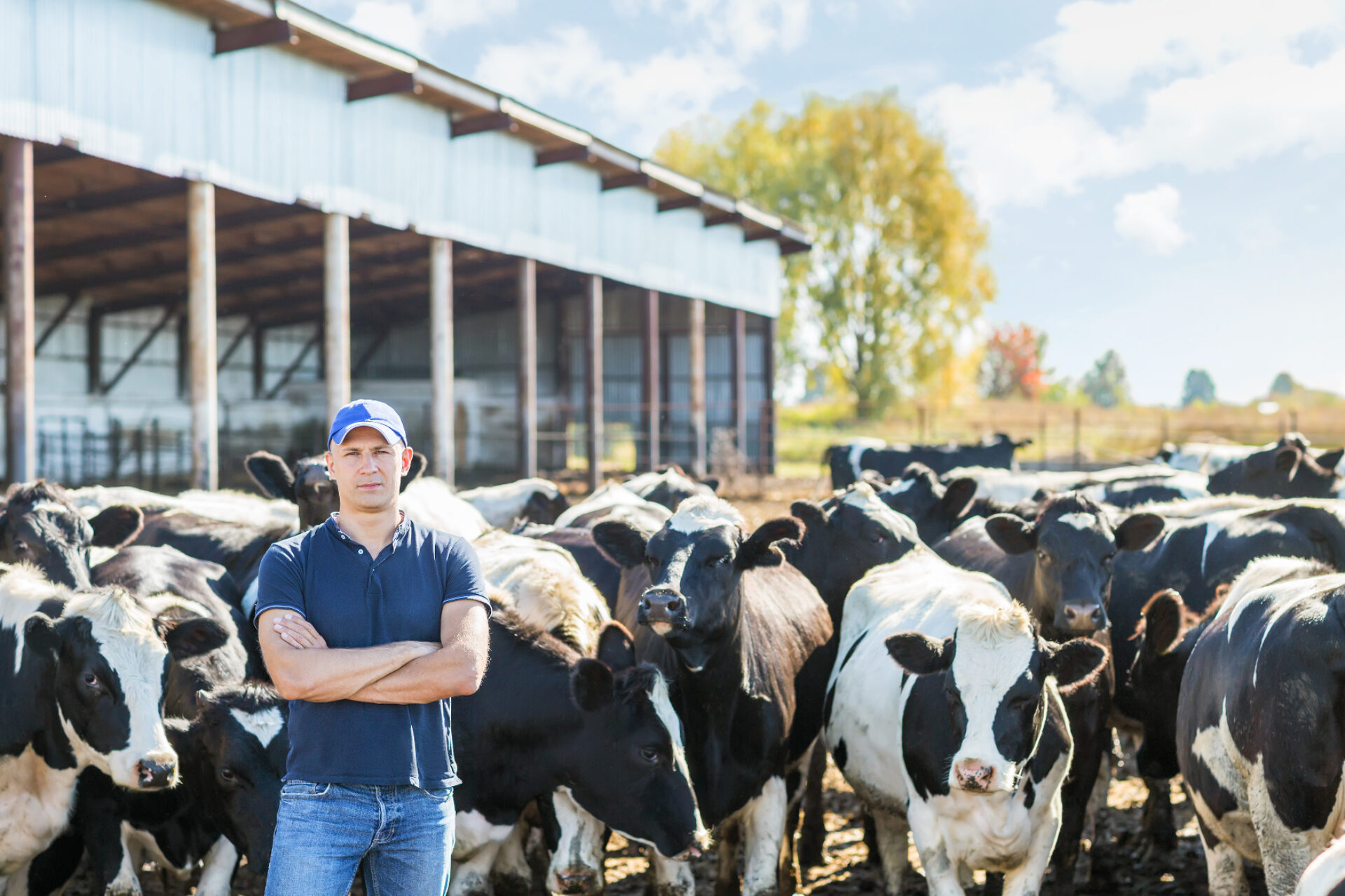 Feeding Systems