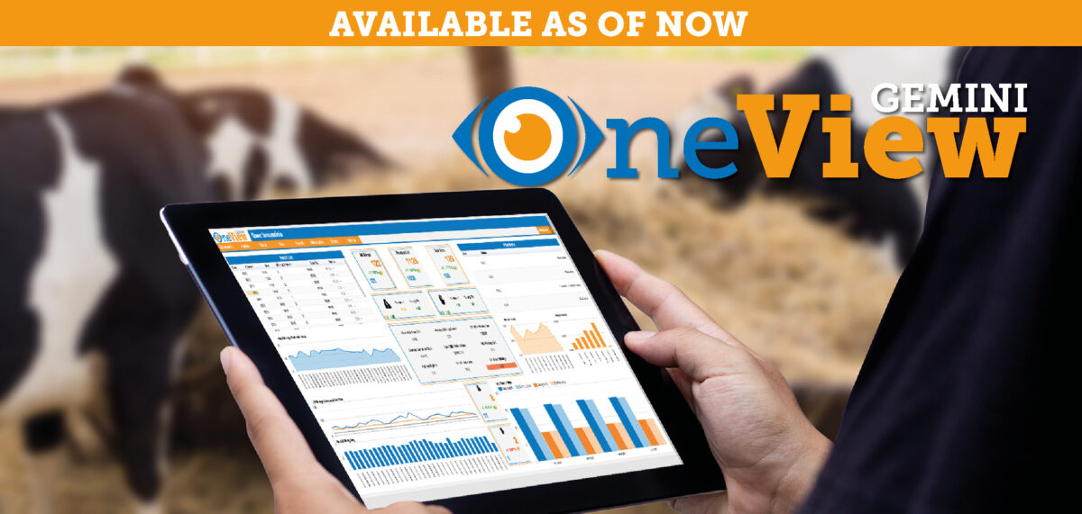 BouMatic | OneView, the management system for the Gemini milking robot