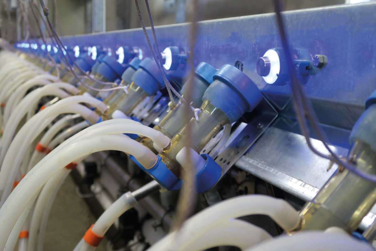 Ovimax BouMatic launches new versions of its milking clusters… | BouMatic