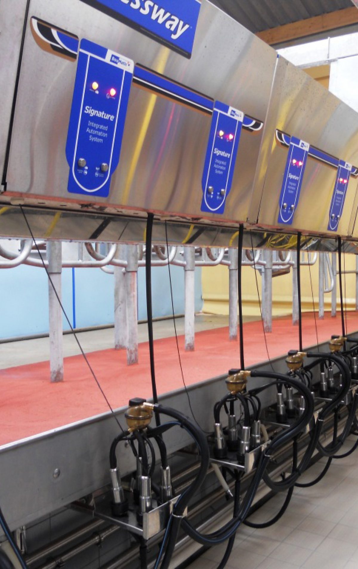 BouMatic Signature 4000 Series Detachers