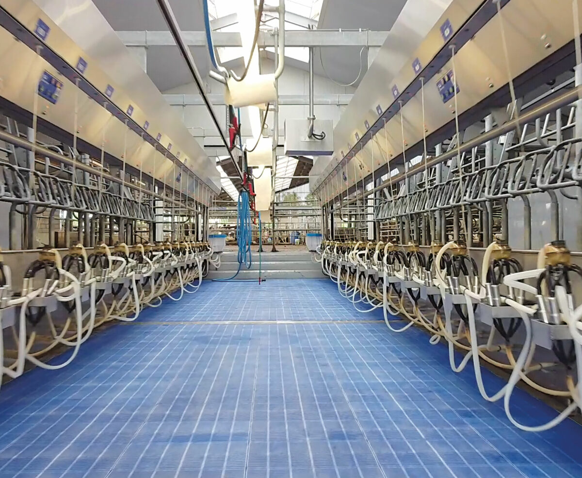 BouMatic BouMatic introduces XpressWay 3.0, a parallel milking…