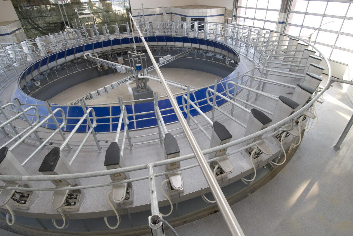 External rotary Xcalibur 360EX, 50 milking posts, by BouMatic