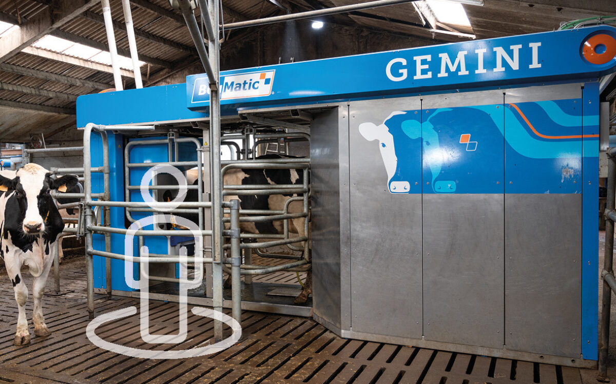 Sneak preview in the virtual tour