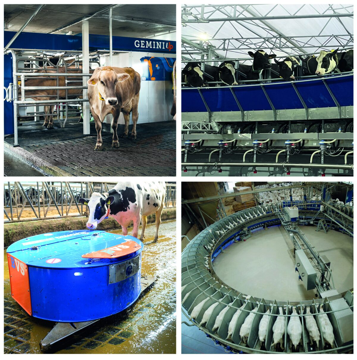 BouMatic kündigt Markenfusion mit SAC bis Ende des Jahres… BouMatic