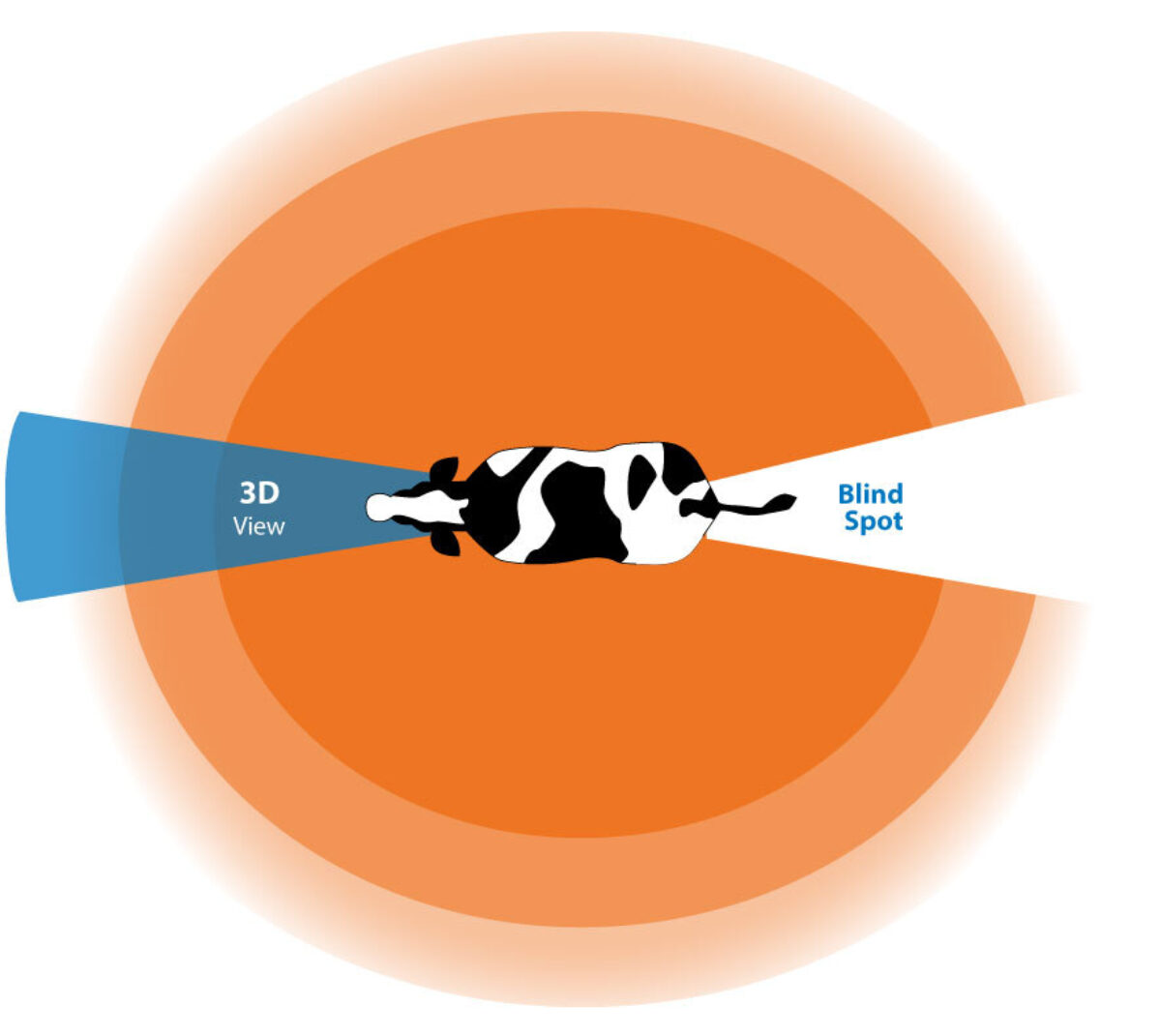 BouMatic | Look through the eyes of a cow