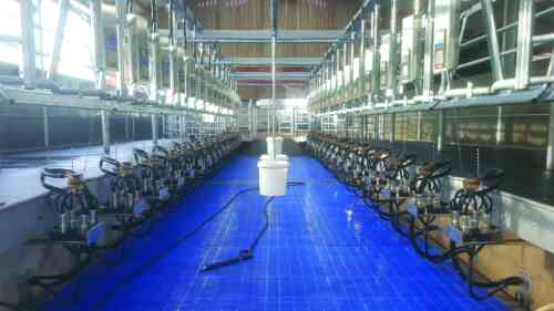 GAEC DES TOURELLES - TÉMOIGNAGE DE LIONEL DOSNE