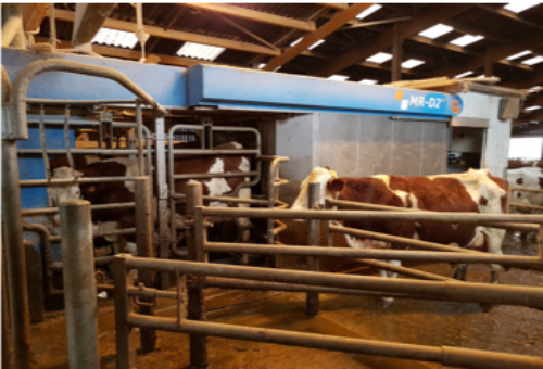 GAEC de la Mocotère: témoignage de Philippe Limaux