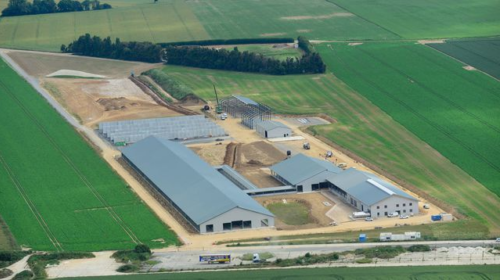 Regroupement de grands troupeaux : les aspects techniques, économiques, humains et législatifs - Michel WELTER