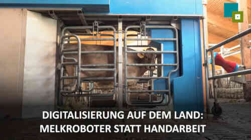 Voorstelling van melkveehouderij Arnold - Scheiddeg (Beieren)