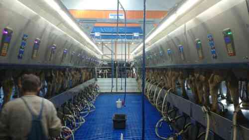 BouMatic ist Sponsor des Hauptpreises für den Gewinner des DLG-Bundeswettbewerbs Melken 2018