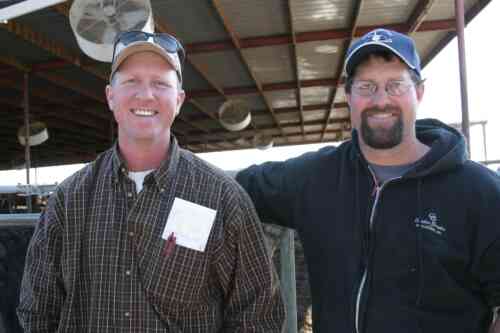 Hoekstra Dairy – Challenges and gains of an American-style development