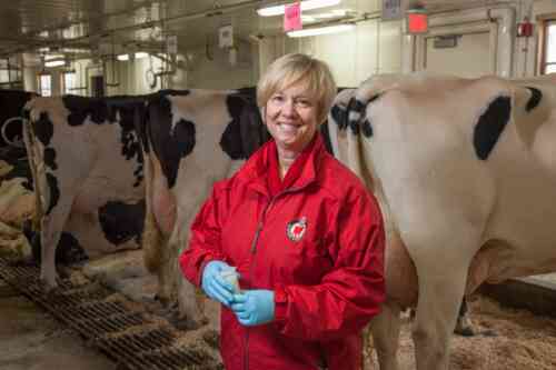 Managing people, cows and the environment to minimize mastitis