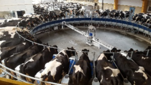 GAEC des Landelles: témoignage de Pierre Rouault