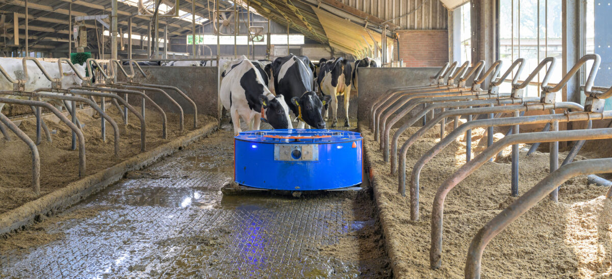 BouMatic BVS BouMatic Vacuum Scraper