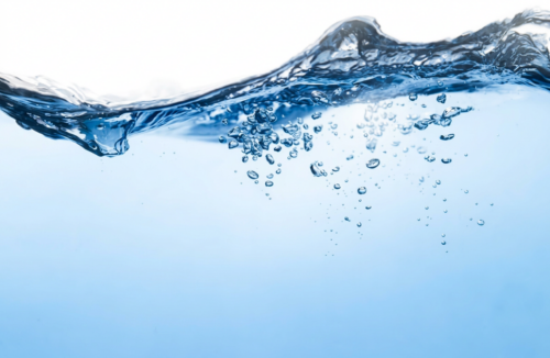 Chaque goutte compte : comment les exploitations laitières repensent l’utilisation de l’eau