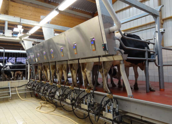 Parallel Polour Parallel Milking Parlour