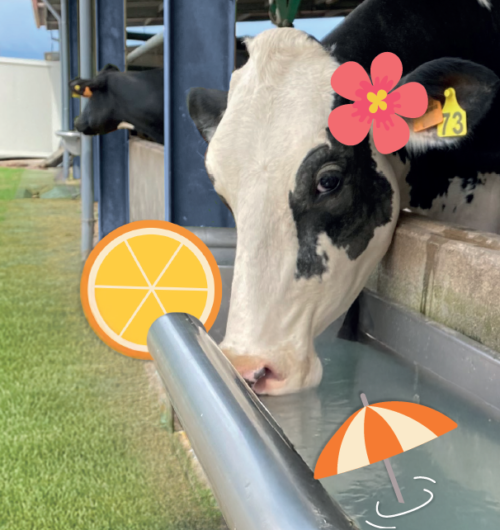 Offre Exceptionnelle - Hydratez malin