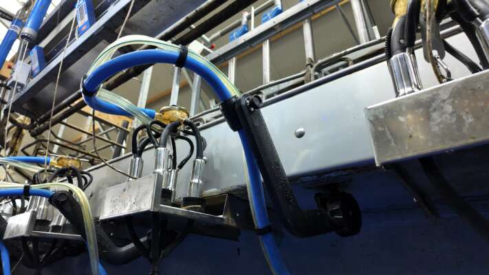 Famille Koster: "The milking cluster seems lighter, and we are saving time.”