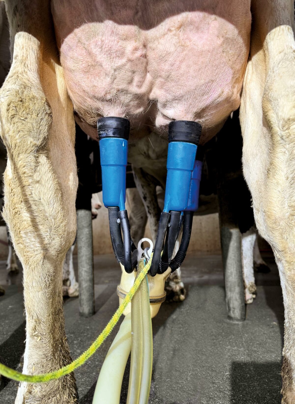 BouMatic | BouMatic Composite Shell