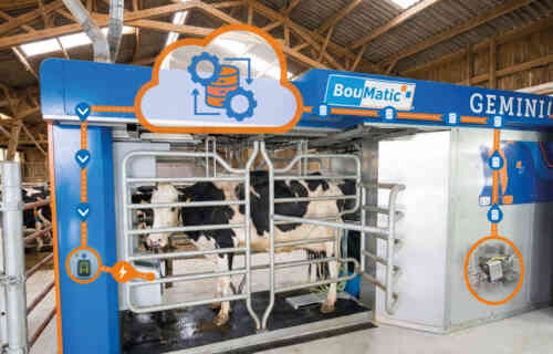 BouMatic introduces market-first automated cow care features in the Gemini UP milking robot with MilkGenius InLine Milk Analyzer