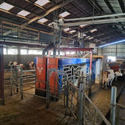 Porte ouverte // EARL des Collières // Sodiaal Equipement