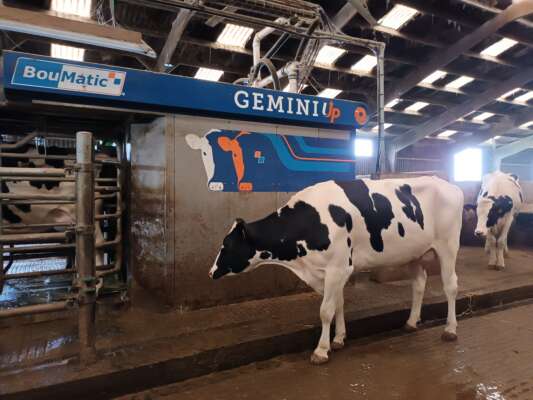 Porte ouverte // GAEC de l'Hilairière // Lactamat