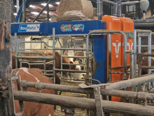 Porte ouverte // GAEC des Brilleres // CAP VERT