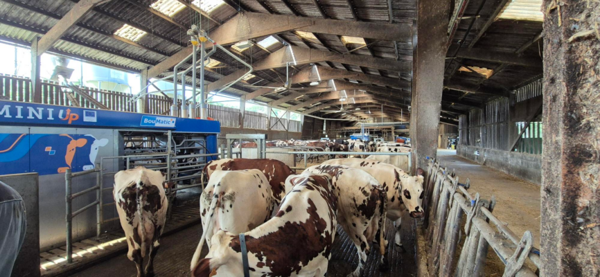 Porte Ouverte //  GAEC Martin-Hamel // Lacta-traite