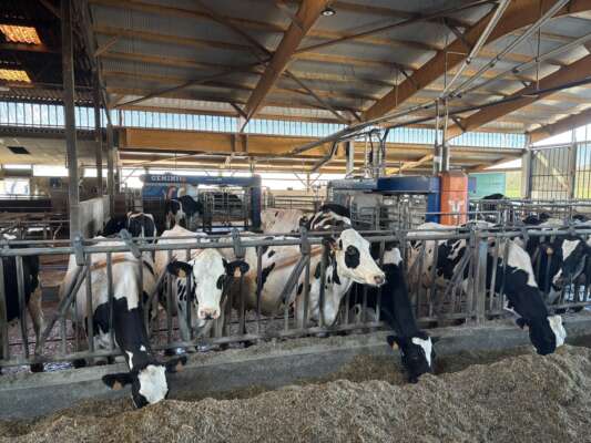 Porte ouverte SCEA le domaine du Coudray // LBE