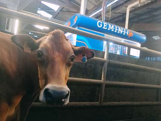 Portes ouvertes // Lactaservices // GAEC du Vivier