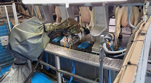 BouMatic and Green Source Automation Announce Strategic Partnership to Revolutionize Rotary Milking Efficiency