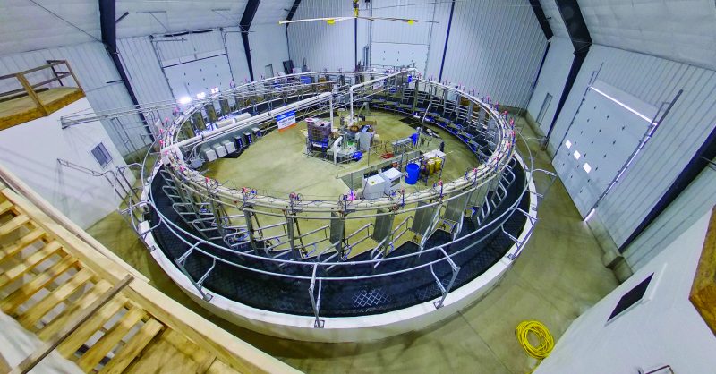 Internal Rotary Parlor - Heavy Duty Rotary Platform - Cow… | BouMatic